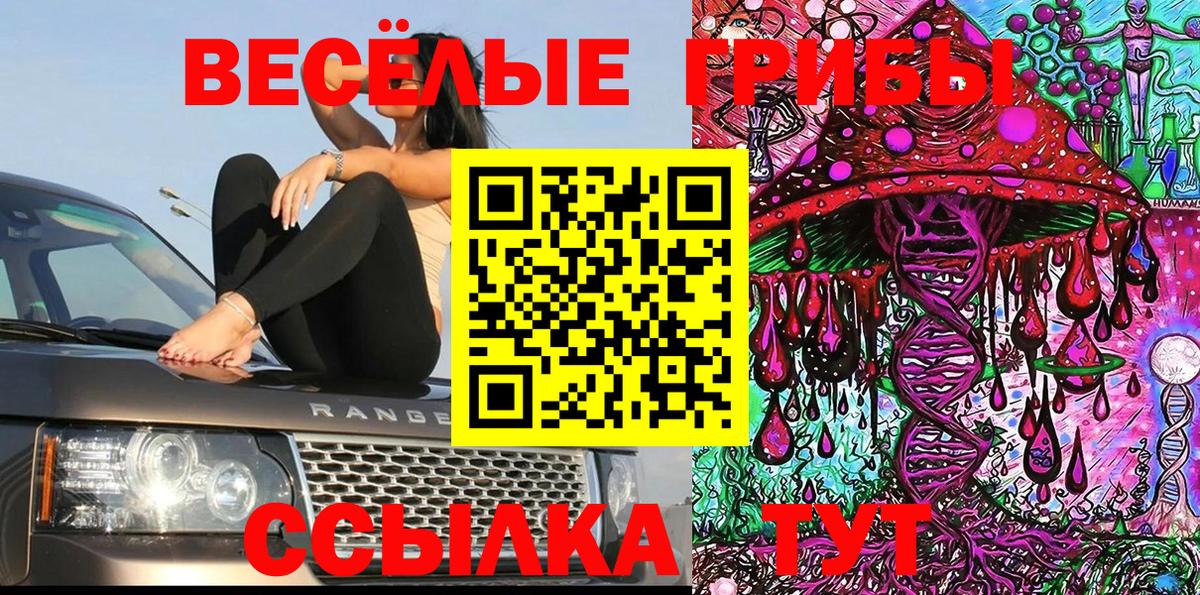 Псилоцибиновые грибы мицелий  Усинск 