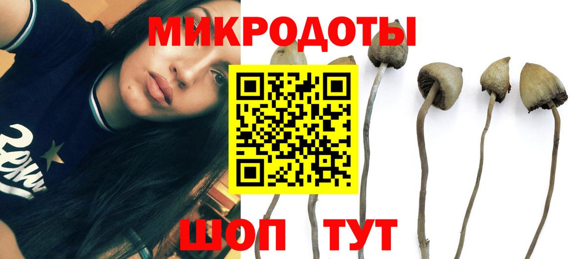 Псилоцибиновые грибы прущие грибы  Галлюциногенные грибы ЛСД  продажа наркотиков  Усинск  Вход с VPN 